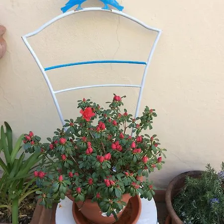 Terrazza Su Sant'ambrogio A Appartement Florence