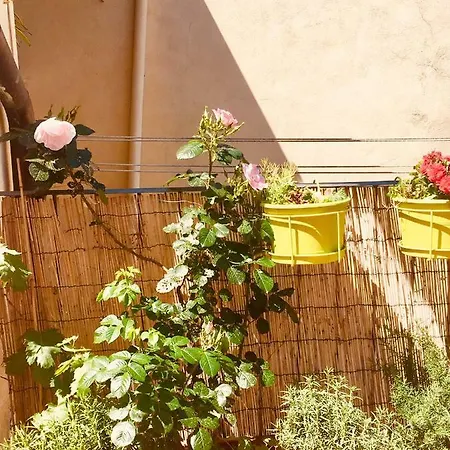 Terrazza Su Sant'ambrogio A Appartement Florence